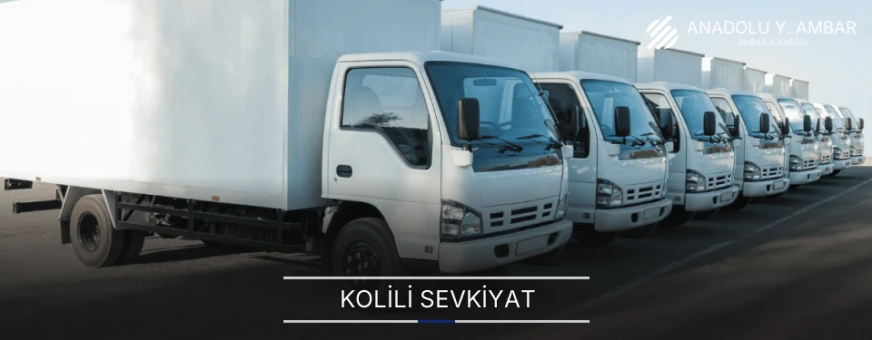 Anadolu Yakası Kolili Sevkiyat Ambar Firmaları