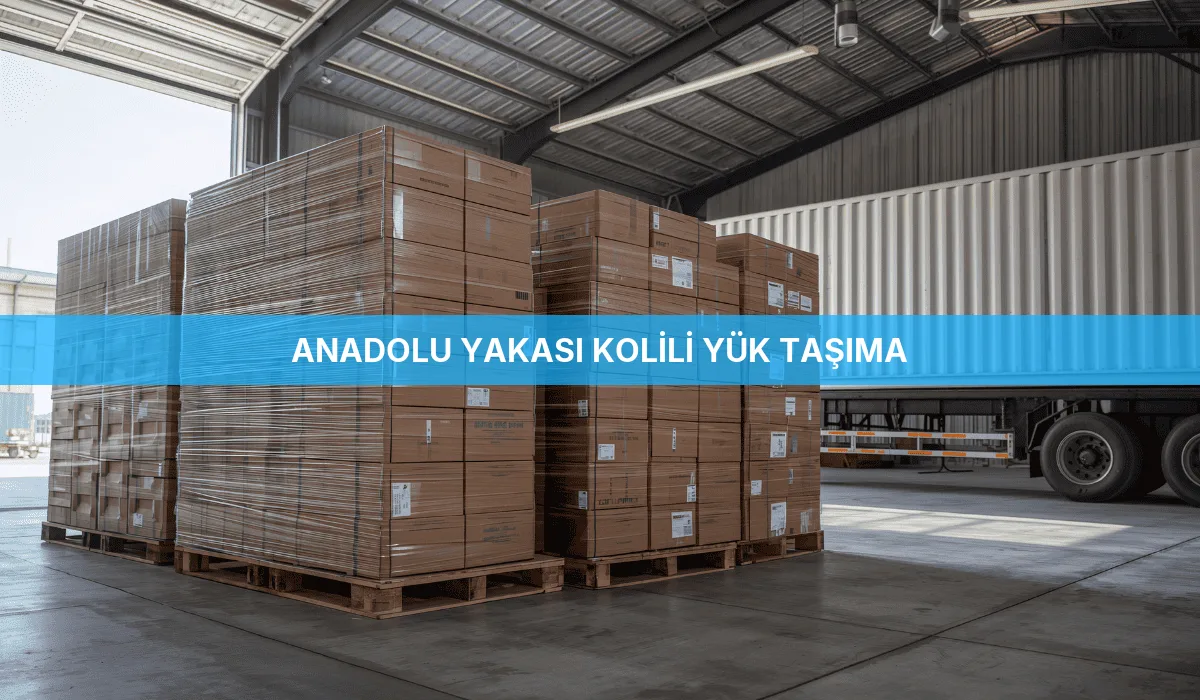 Anadolu Yakası Kolili Yük Taşıma