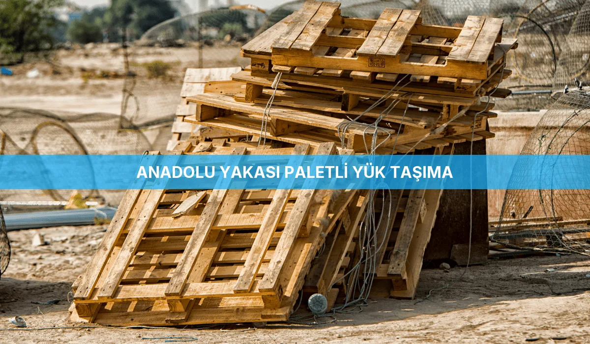 Anadolu Yakası Paletli Yük Taşıma